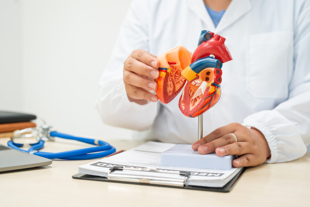Anatomie et Physiologie